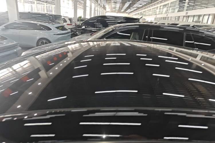 Used Tesla Model Y 2021 Standard Range Rear-Wheel Drive Version Roof