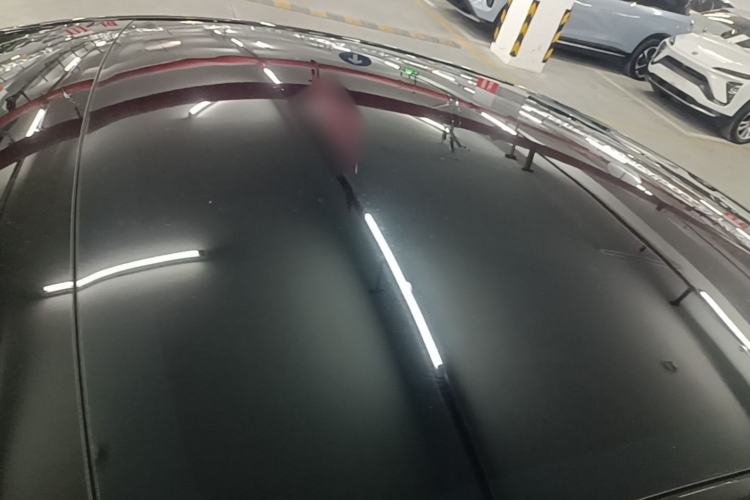 Used Tesla Model Y 2021 Standard Range Rear-Wheel Drive Version Roof