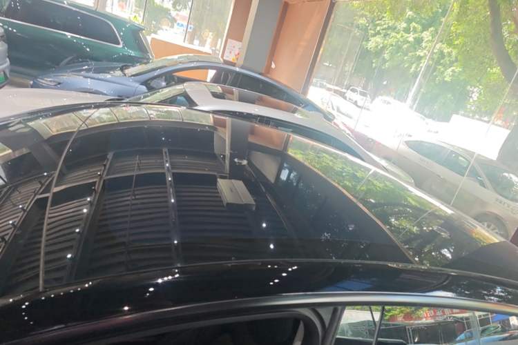 Used Tesla Model Y 2021 Standard Range Rear-Wheel Drive Version Roof