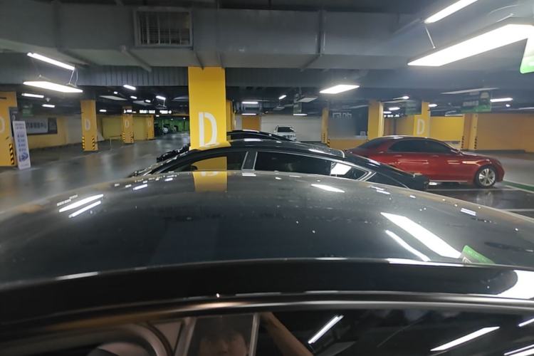 Used Tesla Model Y 2021 Standard Range Rear-Wheel Drive Version Roof