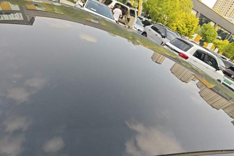 Used Tesla Model Y 2021 Standard Range Rear-Wheel Drive Version Roof