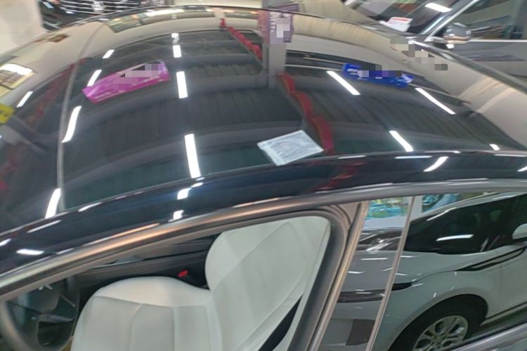 Used Tesla Model Y 2021 Standard Range Rear-Wheel Drive Version Roof