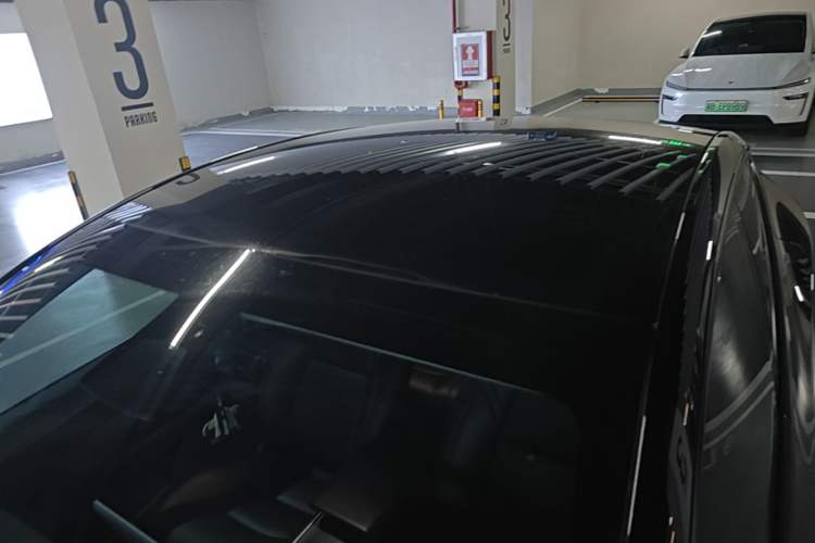 Used Tesla Model Y 2021 Standard Range Rear-Wheel Drive Version Roof