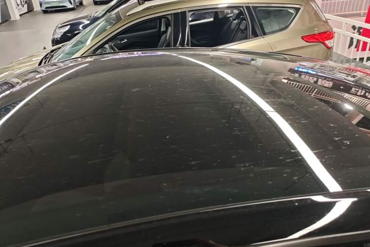Used Tesla Model Y 2021 Standard Range Rear-Wheel Drive Version Roof
