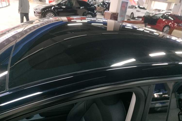 Used Tesla Model Y 2021 Standard Range Rear-Wheel Drive Version Roof