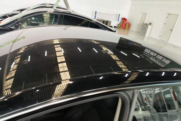 Used Tesla Model Y 2021 Standard Range Rear-Wheel Drive Version Roof