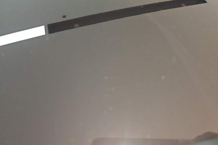 Used Tesla Model Y 2021 Standard Range Rear-Wheel Drive Version Roof