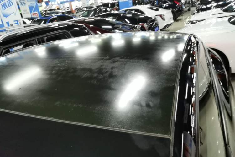 Used Tesla Model Y 2021 Standard Range Rear-Wheel Drive Version Roof