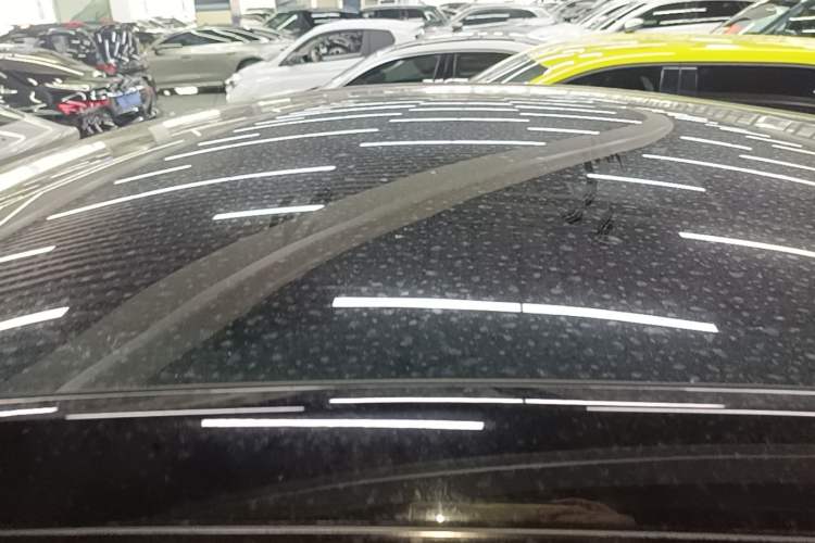 Used Tesla Model Y 2021 Standard Range Rear-Wheel Drive Version Roof