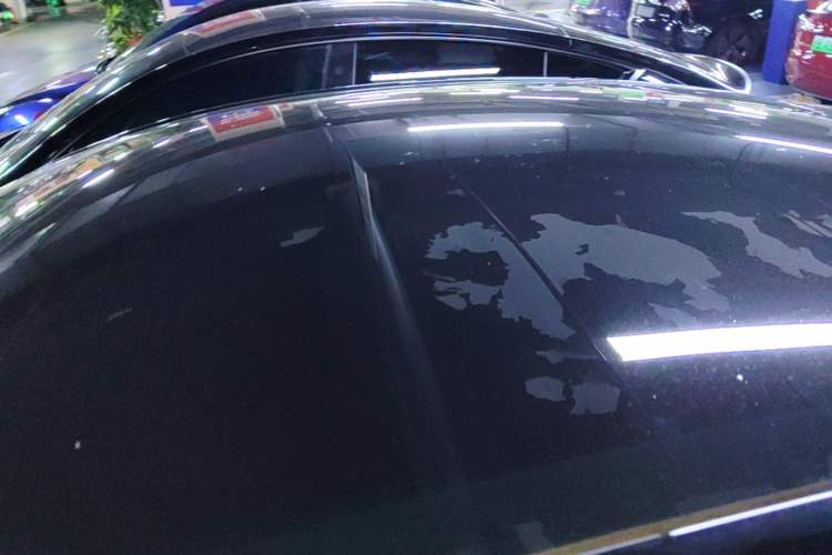 Used Tesla Model Y 2021 Standard Range Rear-Wheel Drive Version Roof