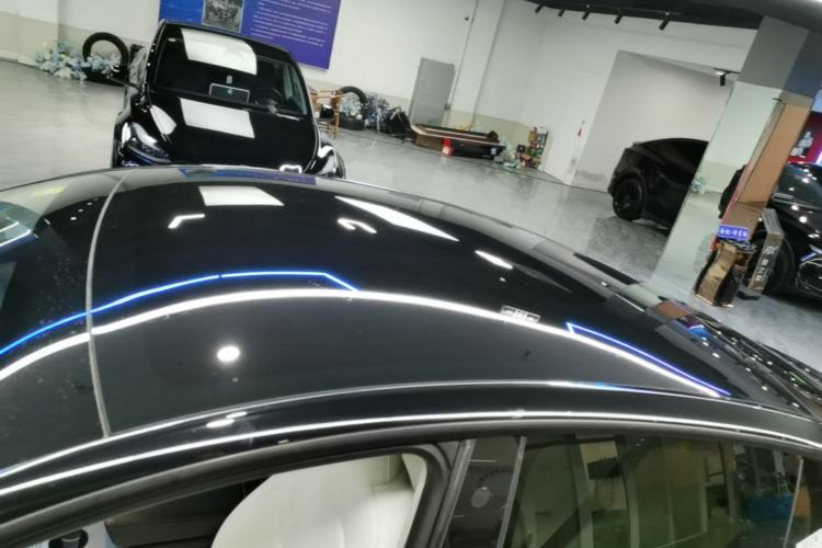 Used Tesla Model Y 2021 Standard Range Rear-Wheel Drive Version Roof