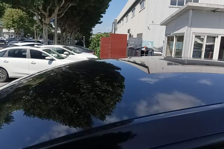 Used Tesla Model Y 2021 Standard Range Rear-Wheel Drive Version Roof