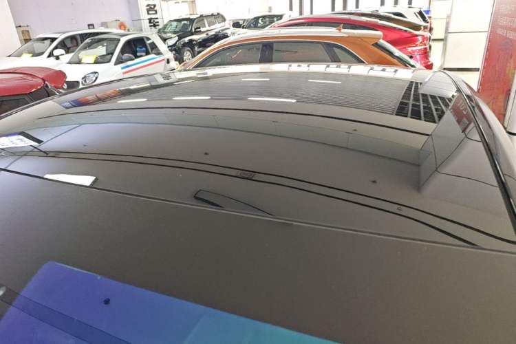 Used Tesla Model Y 2021 Standard Range Rear-Wheel Drive Version Roof
