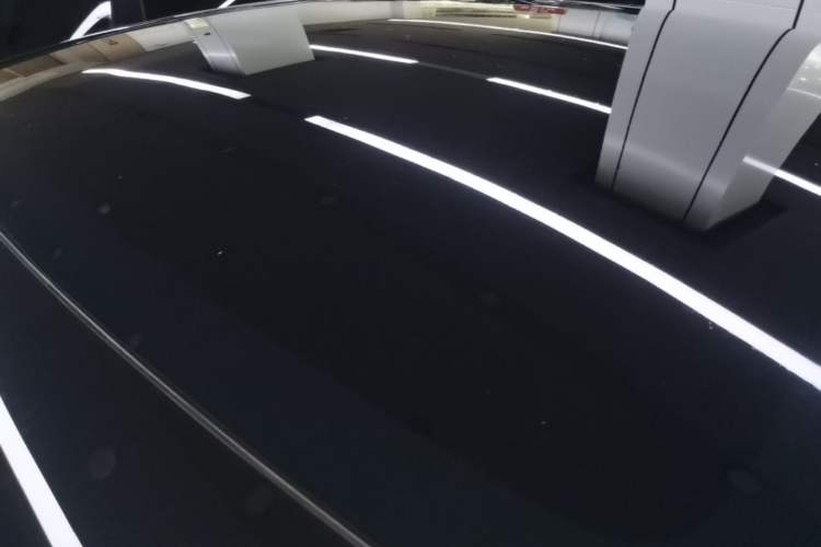 Used Tesla Model Y 2021 Standard Range Rear-Wheel Drive Version Roof