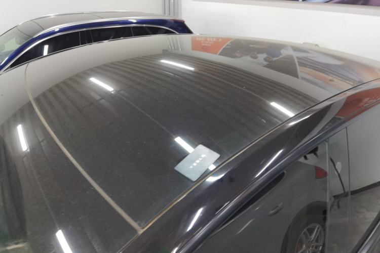 Used Tesla Model Y 2021 Standard Range Rear-Wheel Drive Version Roof
