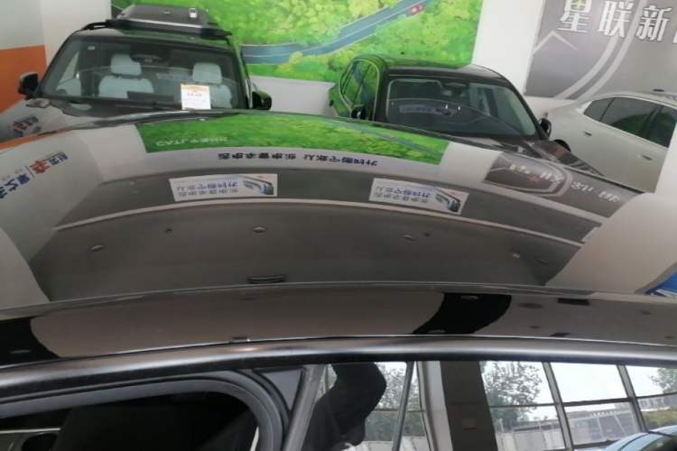 Used Tesla Model Y 2021 Long-Range All-Wheel-Drive Version Roof
