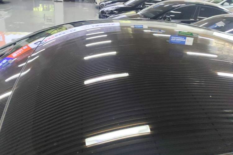Used Tesla Model Y 2021 Standard Range Rear-Wheel Drive Version Roof