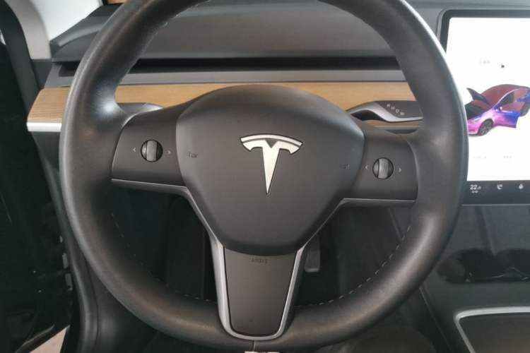 Used Tesla Model Y 2021 Standard Range Rear-Wheel Drive Version Steering Wheel