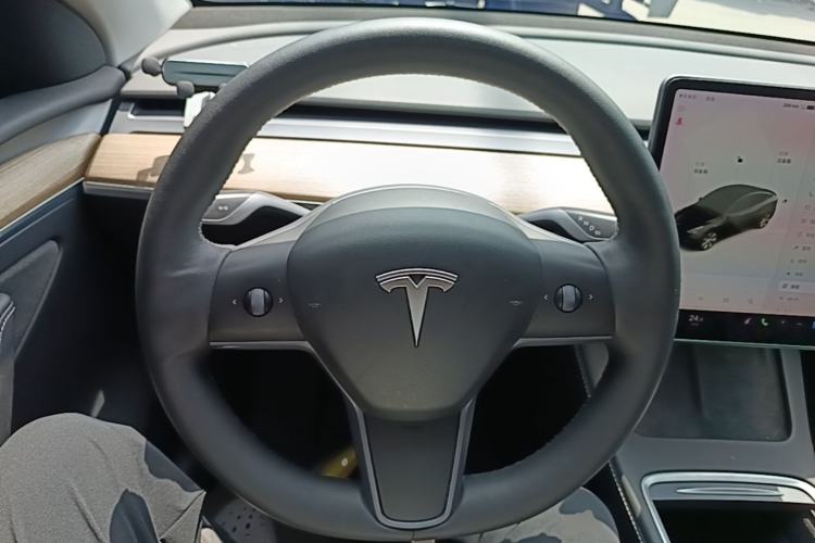 Used Tesla Model Y 2021 Standard Range Rear-Wheel Drive Version Steering Wheel