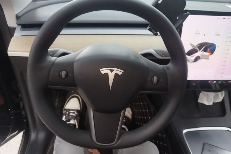 Used Tesla Model Y 2021 Standard Range Rear-Wheel Drive Version Steering Wheel