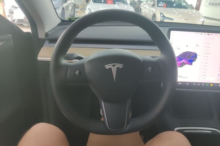 Used Tesla Model Y 2021 Standard Range Rear-Wheel Drive Version Steering Wheel