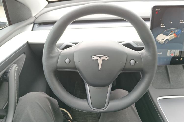 Used Tesla Model Y 2021 Standard Range Rear-Wheel Drive Version Steering Wheel