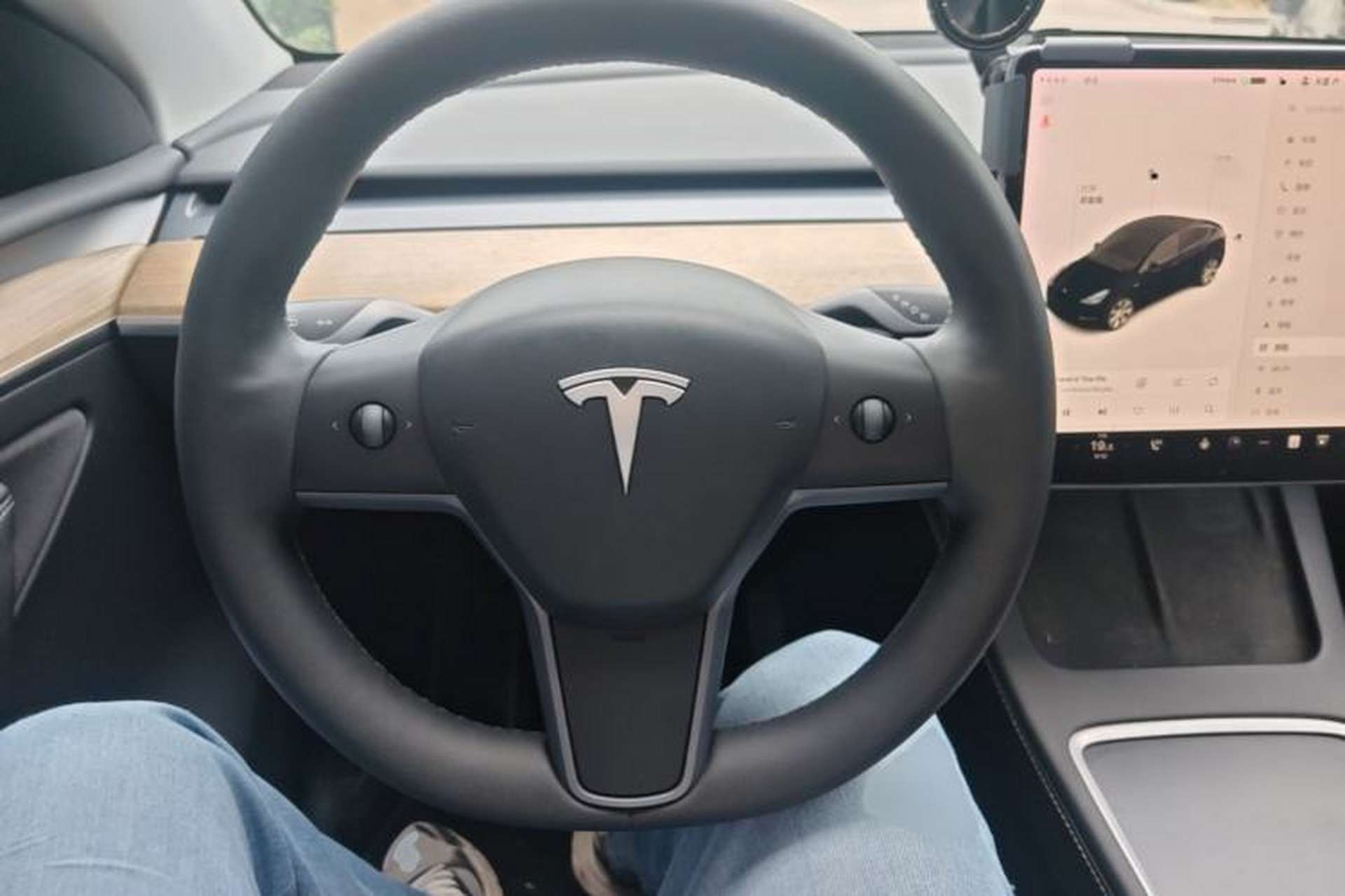 Used Tesla Model Y 2021 Standard Range Rear-Wheel Drive Version Steering Wheel
