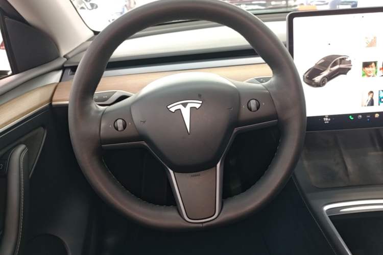 Used Tesla Model Y 2021 Standard Range Rear-Wheel Drive Version Steering Wheel