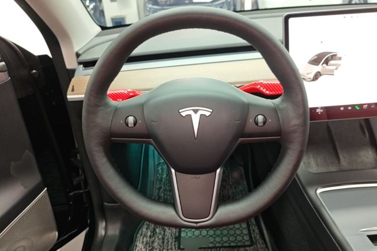 Used Tesla Model Y 2021 Standard Range Rear-Wheel Drive Version Steering Wheel