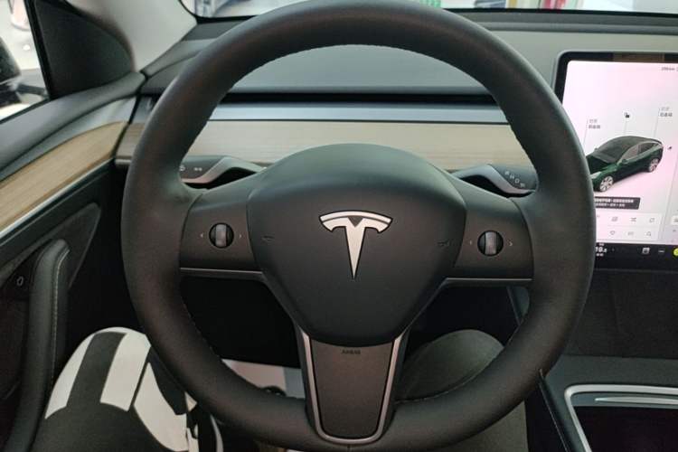 Used Tesla Model Y 2021 Standard Range Rear-Wheel Drive Version Steering Wheel