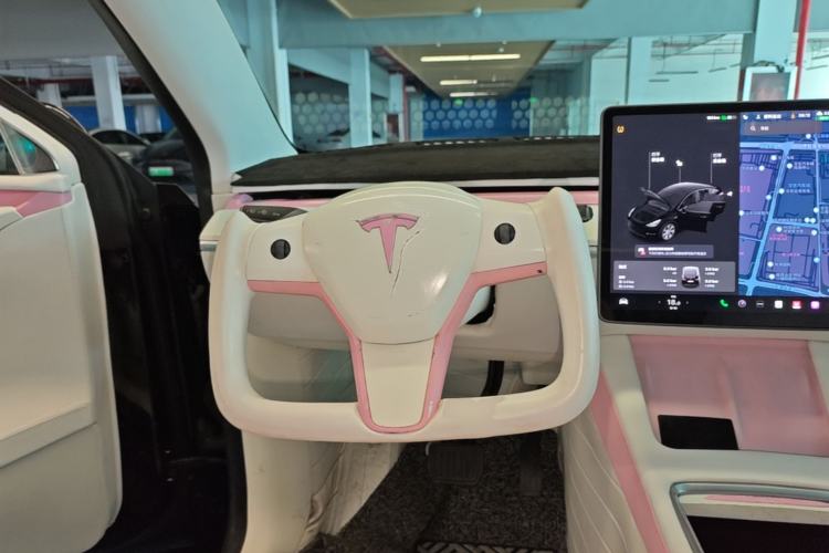Used Tesla Model Y 2021 Standard Range Rear-Wheel Drive Version Steering Wheel