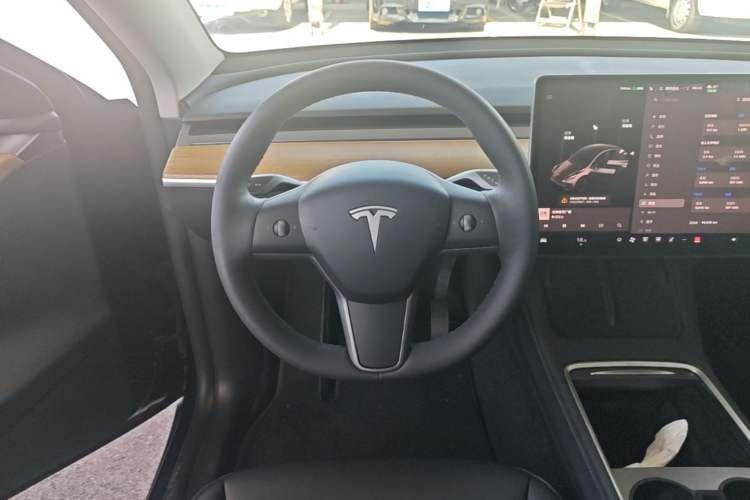 Used Tesla Model Y 2021 Standard Range Rear-Wheel Drive Version Steering Wheel