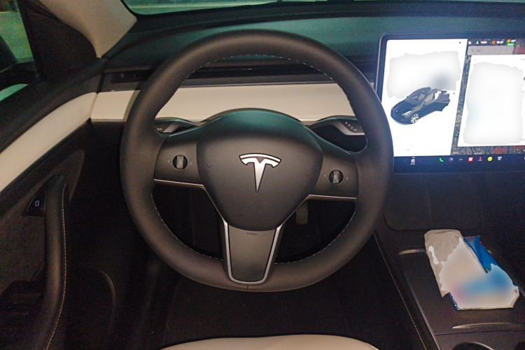Used Tesla Model Y 2021 Standard Range Rear-Wheel Drive Version Steering Wheel