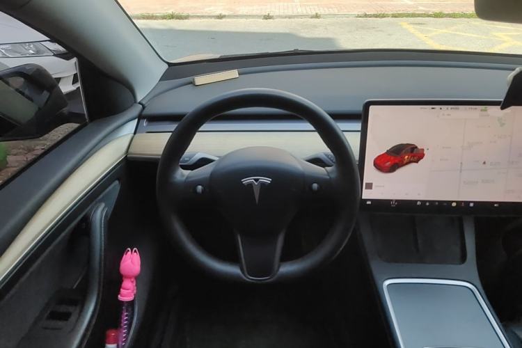 Used Tesla Model Y 2021 Standard Range Rear-Wheel Drive Version Steering Wheel