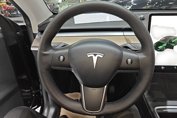 Used Tesla Model Y 2021 Standard Range Rear-Wheel Drive Version Steering Wheel