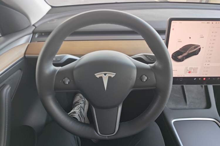 Used Tesla Model Y 2021 Standard Range Rear-Wheel Drive Version Steering Wheel