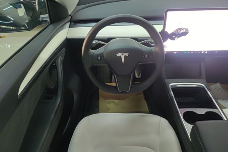 Used Tesla Model Y 2021 Standard Range Rear-Wheel Drive Version Steering Wheel