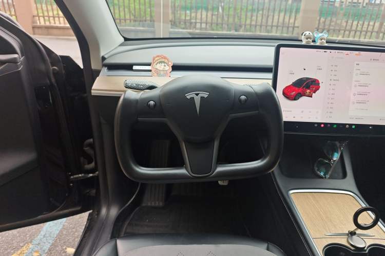 Used Tesla Model Y 2021 Standard Range Rear-Wheel Drive Version Steering Wheel