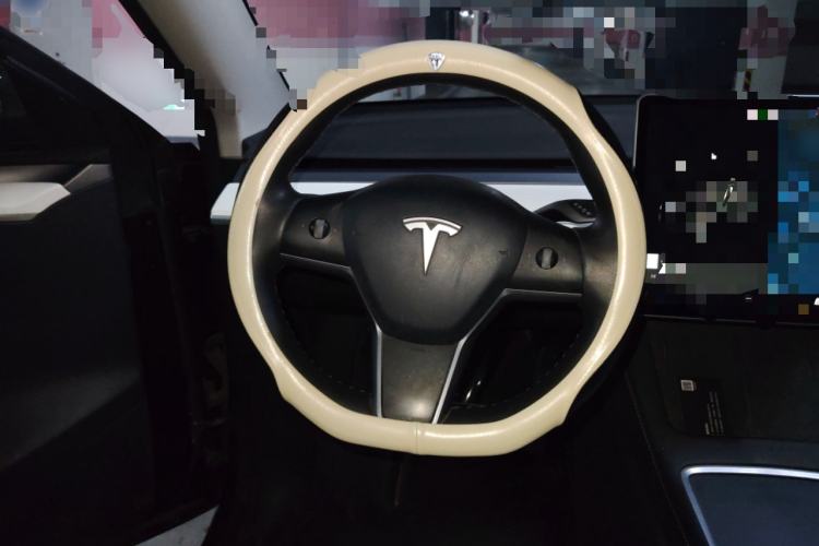 Used Tesla Model Y 2021 Standard Range Rear-Wheel Drive Version Steering Wheel
