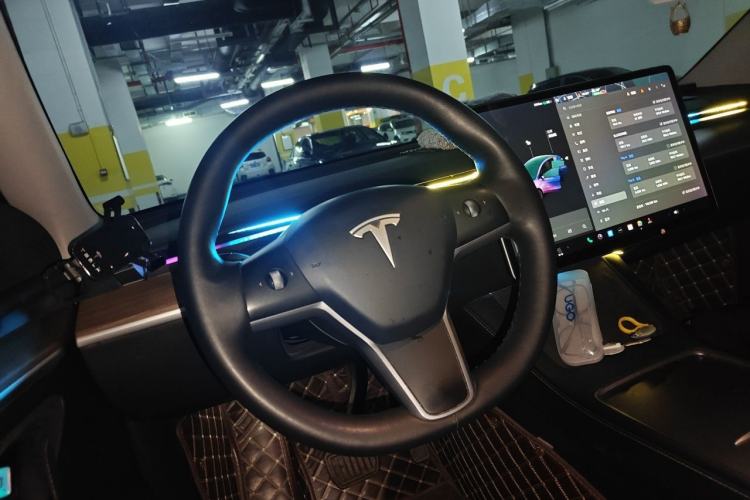 Used Tesla Model Y 2021 Standard Range Rear-Wheel Drive Version Steering Wheel