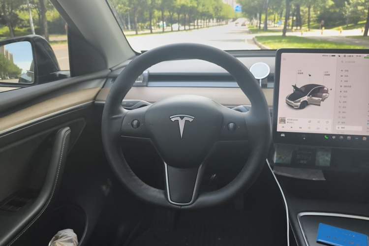 Used Tesla Model Y 2021 Standard Range Rear-Wheel Drive Version Steering Wheel