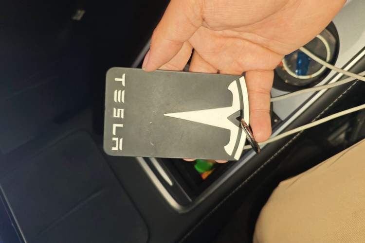 Used Tesla Model Y 2021 Standard Range Rear-Wheel Drive Version
