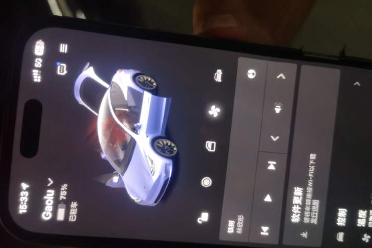 Used Tesla Model Y 2021 Standard Range Rear-Wheel Drive Version Vehicle Key