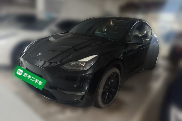 Tesla Model Y 2021 Standard Range Rear-Wheel Drive Version usata