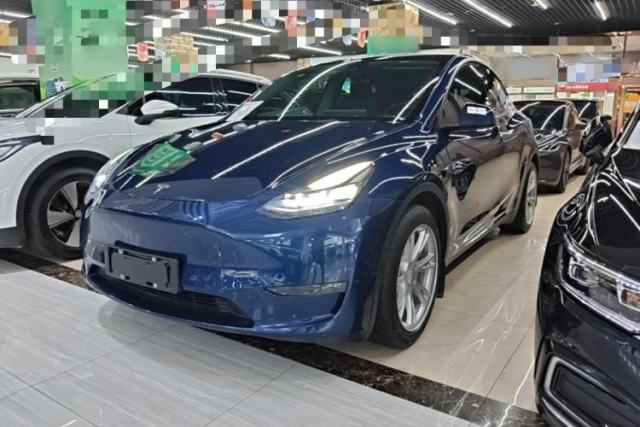 Tesla Model Y 2021 Standard Range Rear-Wheel Drive Version de segunda mano
