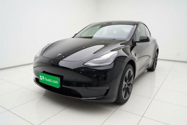 Tesla Model Y 2021 Standard Range Rear-Wheel Drive Version de segunda mano