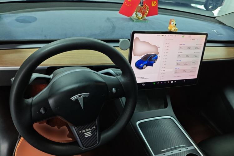 Used Tesla Model Y 2021 Standard Range Rear-Wheel Drive Version Center Console
