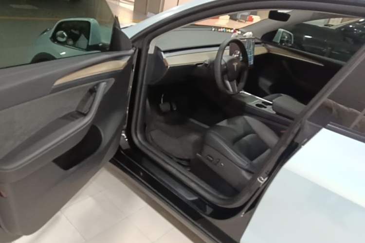 Used Tesla Model Y 2021 Standard Range Rear-Wheel Drive Version Driver Seat