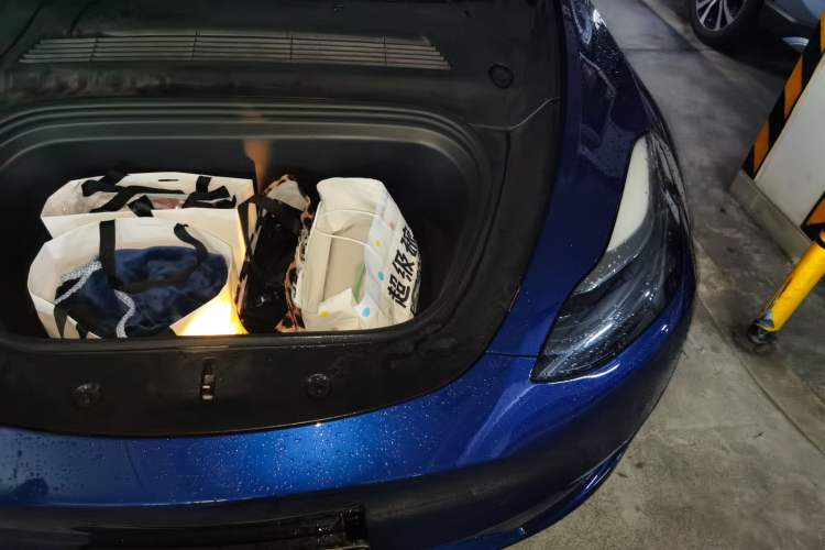 Used Tesla Model Y 2021 Standard Range Rear-Wheel Drive Version Engine Bay Left