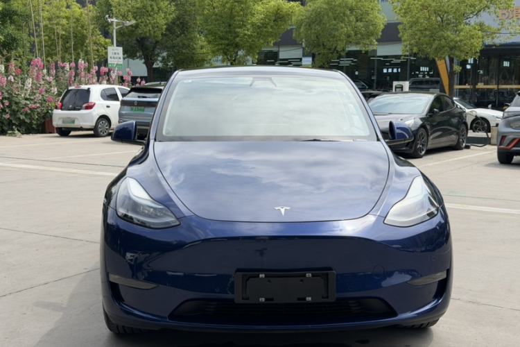 Used Tesla Model Y 2021 Standard Range Rear-Wheel Drive Version Exterior 1